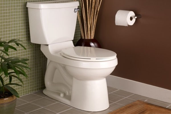 How Is a Toilet Constructed?