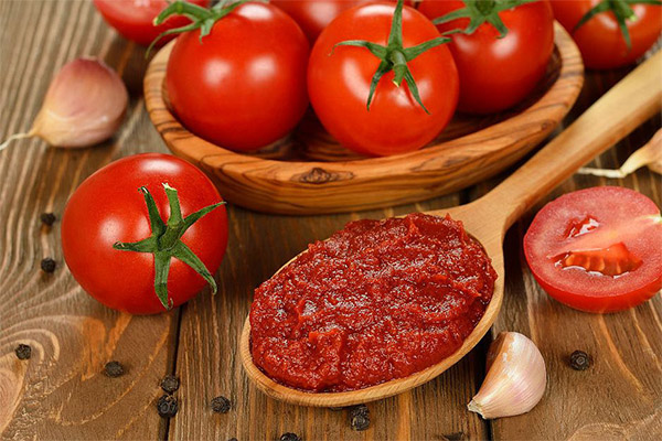 Buy all kinds of Tomato Sauce at the best price