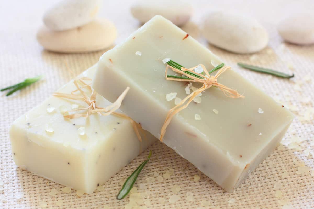 The Purchase Price of Bath Soap + Advantages and Disadvantages