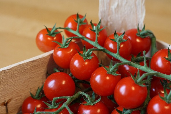 The Most Common Varieties of Tomatoes