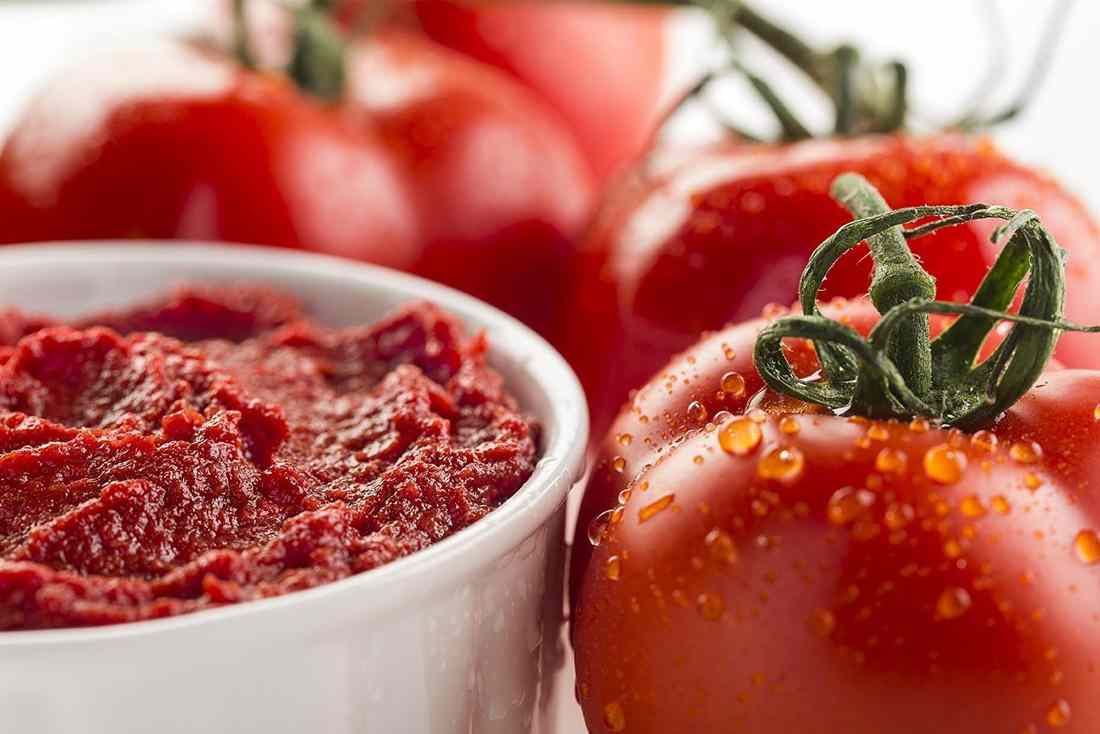 Price list of Tomato Paste in Spain 2023
