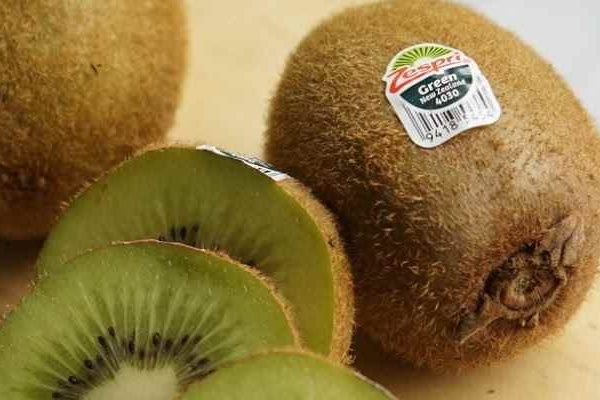 The Price of Green Kiwi + Purchase and Sale of Green Kiwi Wholesale