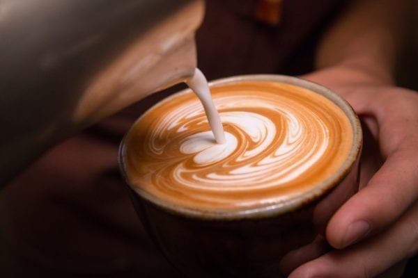 Buy And Price Hazelnut Coffee Mate Creamer