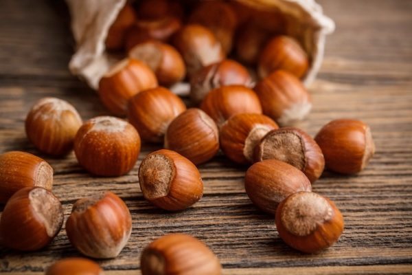Best Types of Hazelnuts in the World