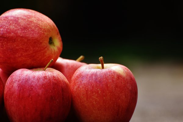 Red Delicious Apple Price Export