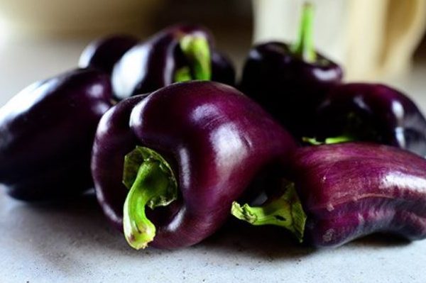 Purple Beauty Bell Pepper Recipes