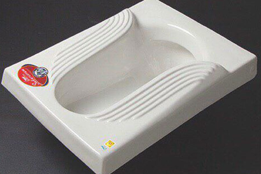 The purchase price of pan toilet + advantages and disadvantages