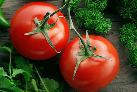 Pronunciation of Tomato or Tomatoe History