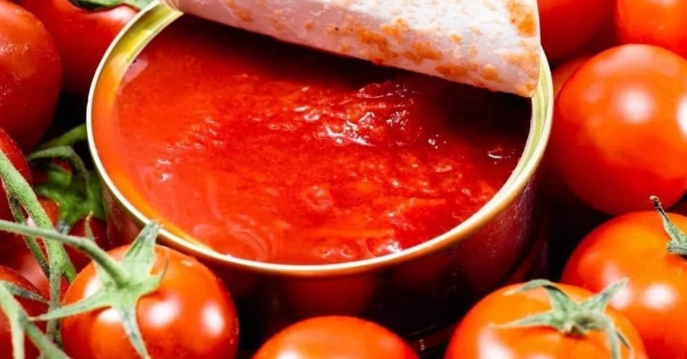 natural organic tomato paste | Buy at a cheap price