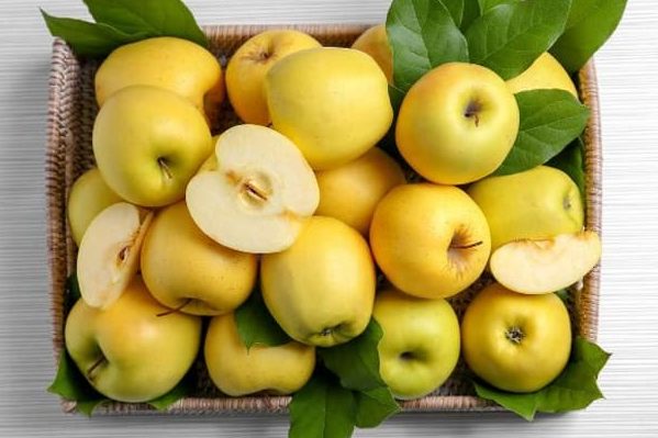 Introduction of  Delicious Apples types + purchase price of the day