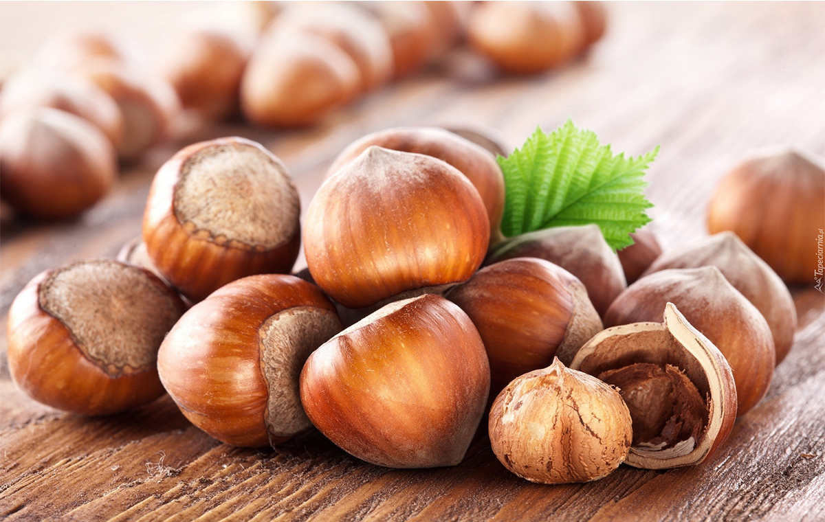 Buy all kinds of hazelnut for export at the best price