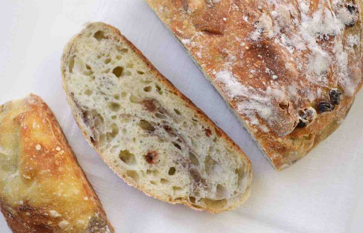 Getting To Know bread fig + The Exceptional Price of Buying bread fig