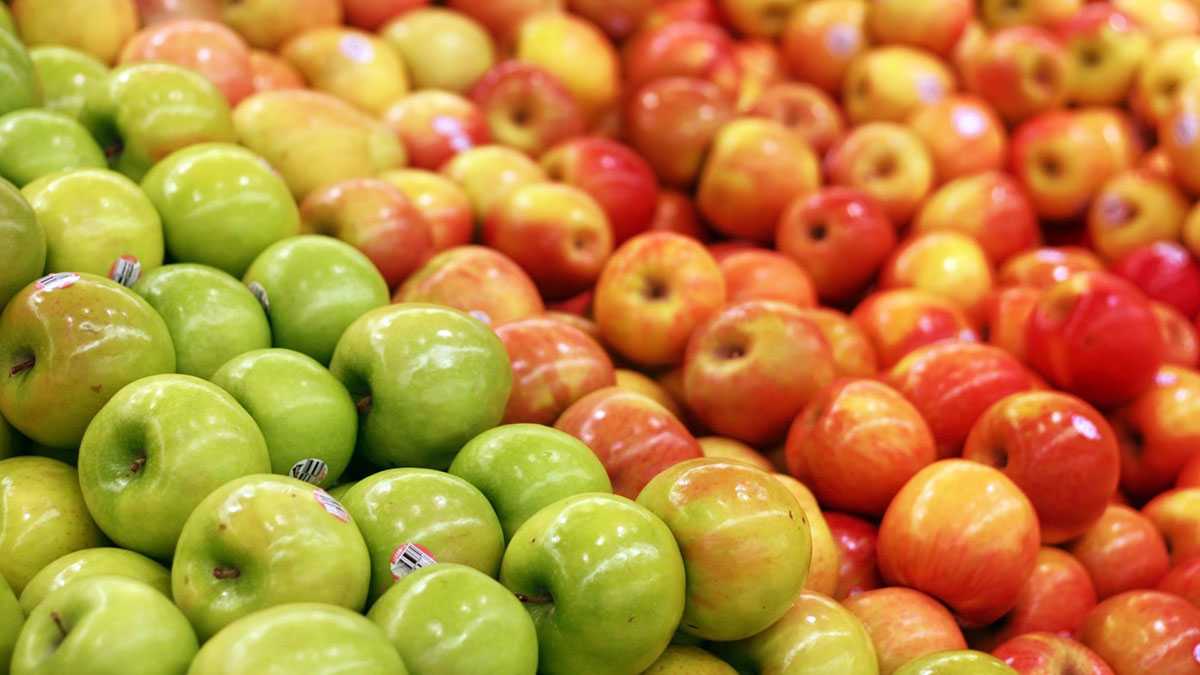 Buy European apple fruit + great price