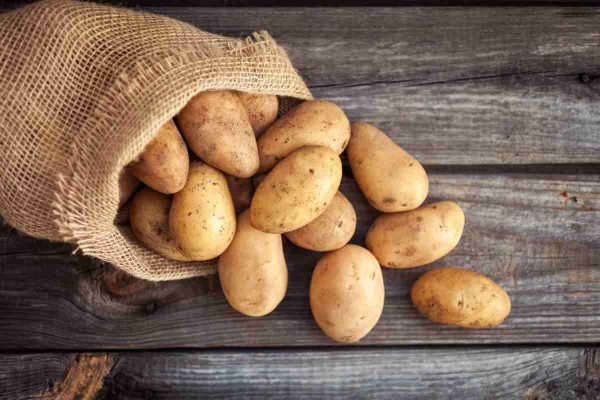 the purchase price of potato nutrition in Rome