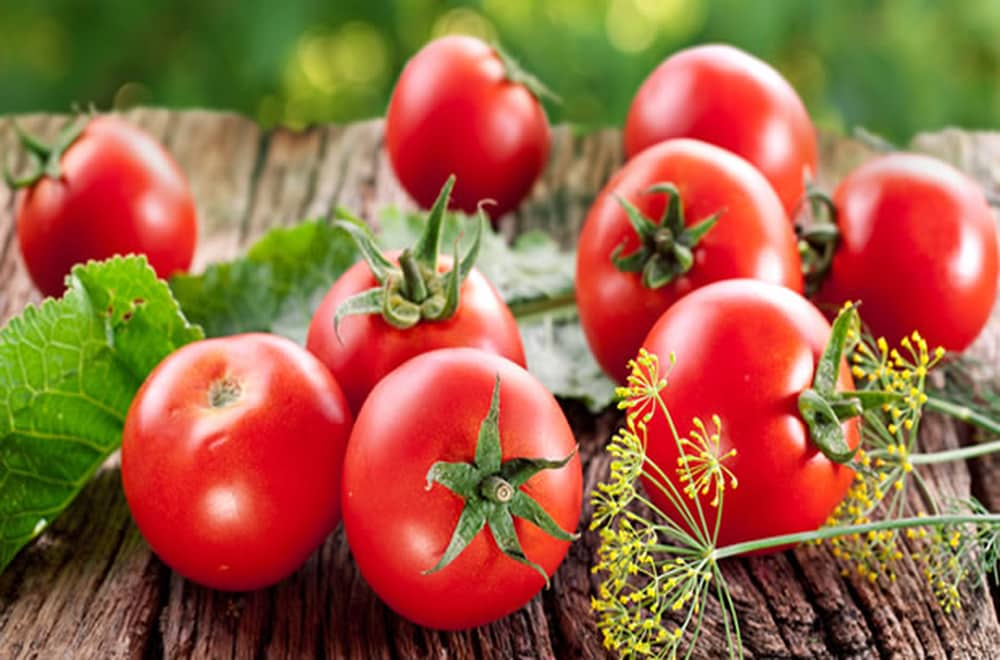 Introducing tomato fruit + the best purchase price