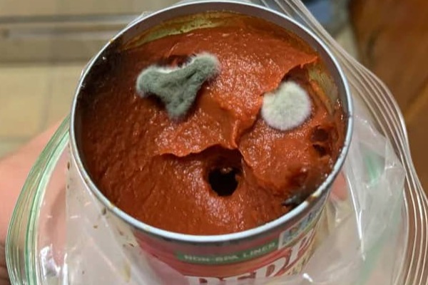 Tomato Paste with Mold on Top