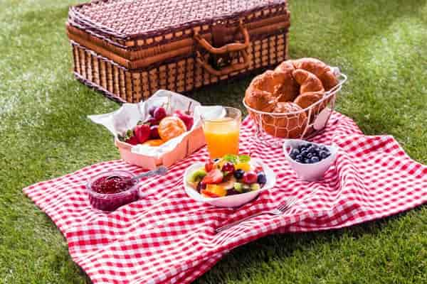 buy picnic blanket  great price with guaranteed quality