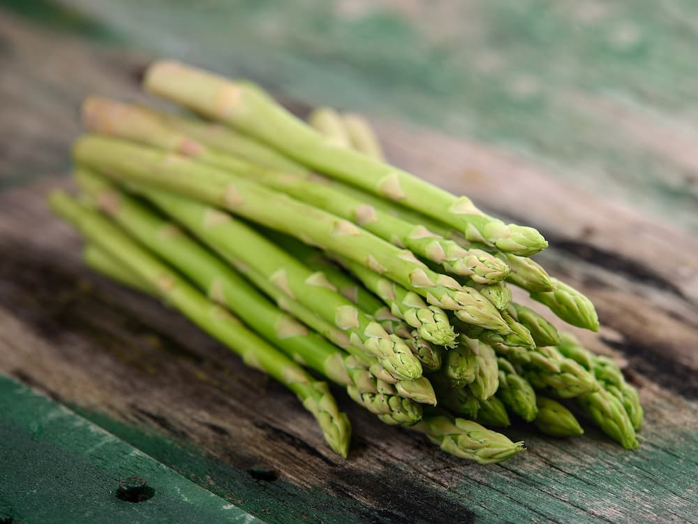 Asparagus plant Buying Guide + Great Price