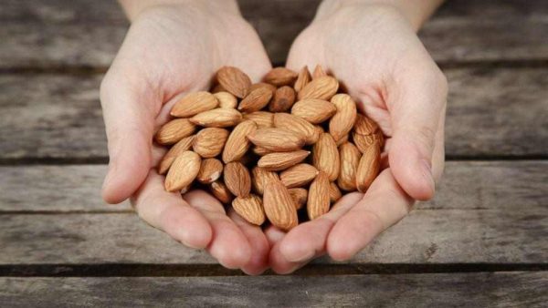 Buy California Almonds in USA + Great Price With Guaranteed Quality
