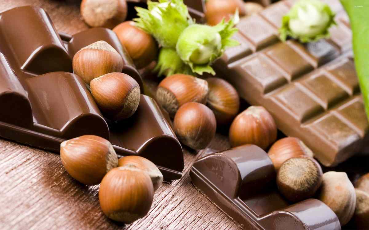 Total marketing of hazelnut import and export company