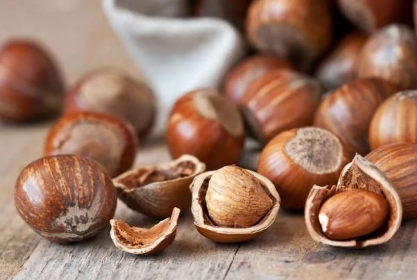 price references of hazelnut in bulk types + cheap purchase