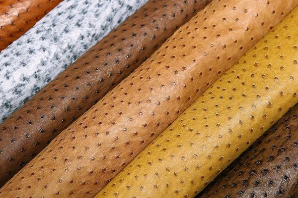Buy ostrich leather | Selling All Types of ostrich leather At a Reasonable Price