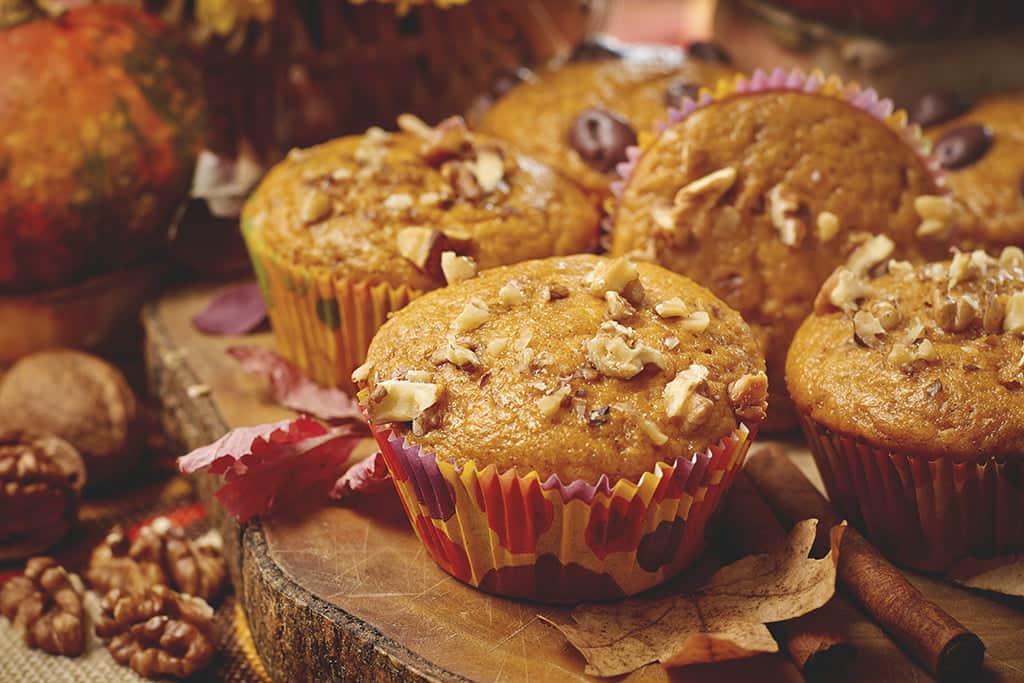 Easy gluten free chocolate chip muffins | great price