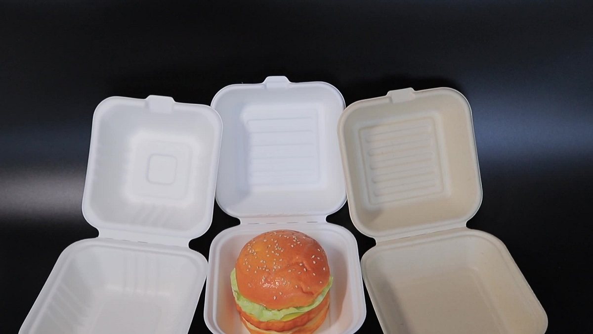 affordable Plastic disposable food containers with lids