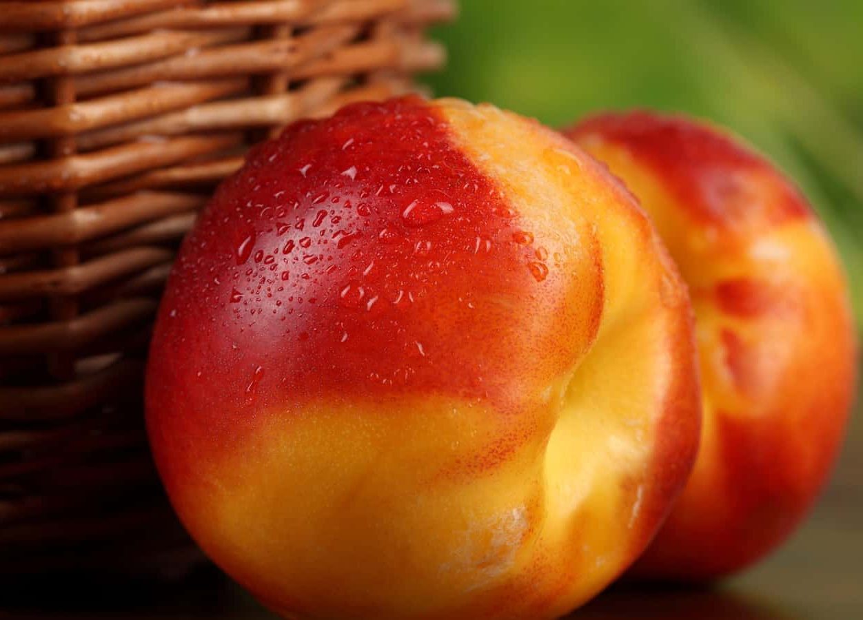 yellow nectarine purchase price + sales in trade and export