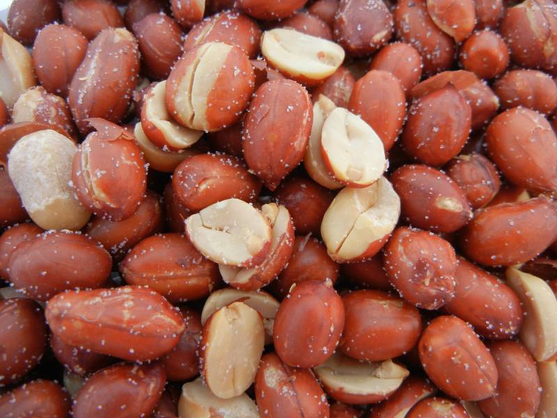 The Purchase Price of buy roasted peanuts + Training