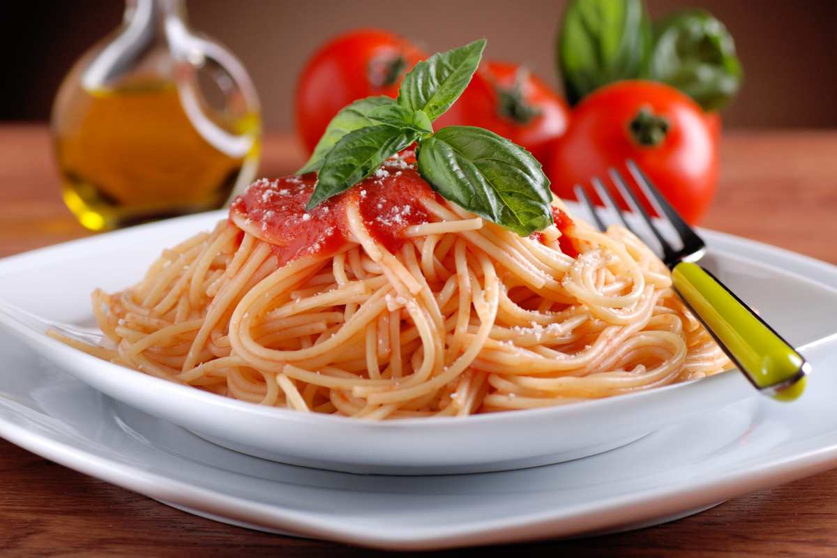 6-month old spaghetti 2023 Price List