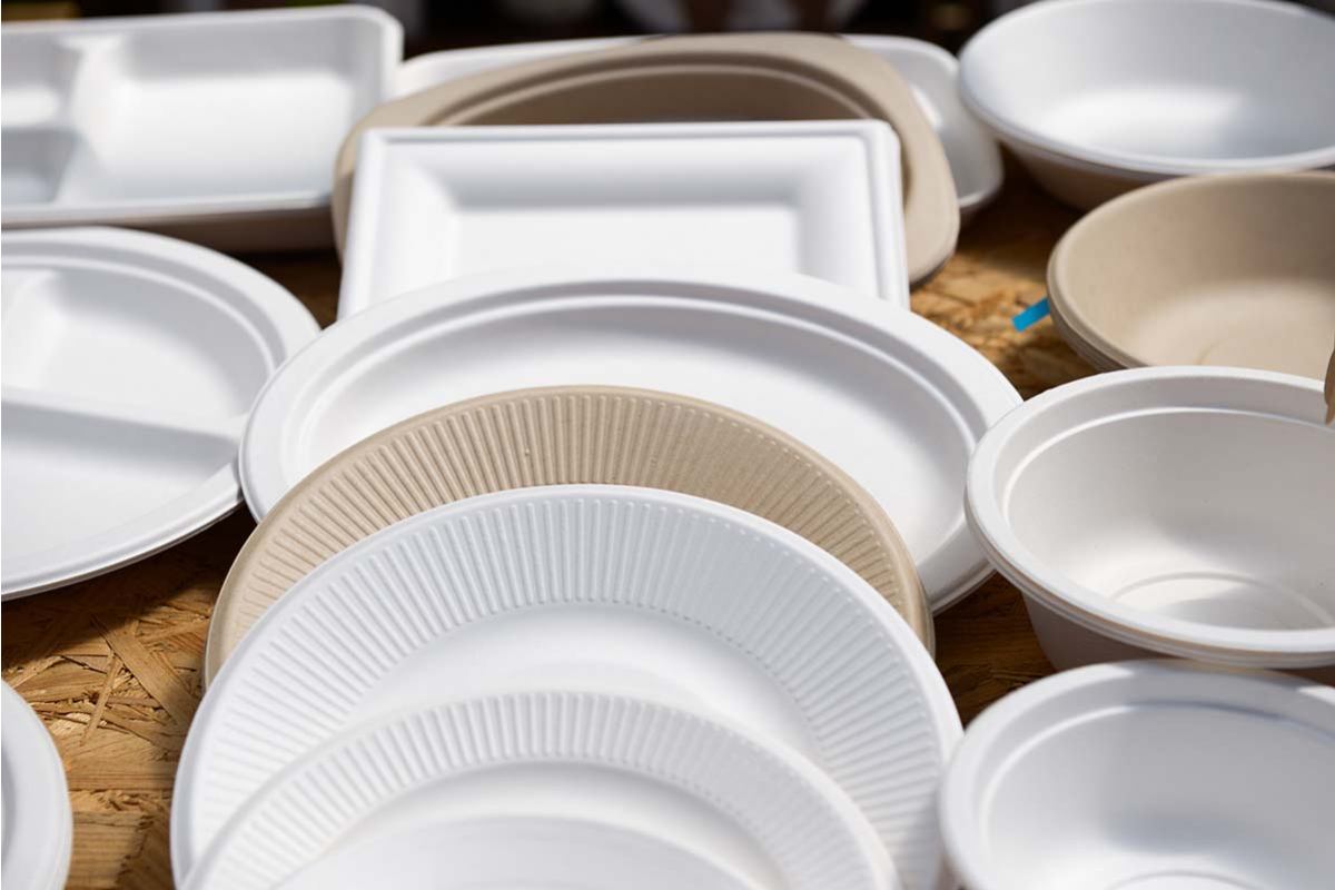 Introducing disposable plastic bowls + the best purchase price