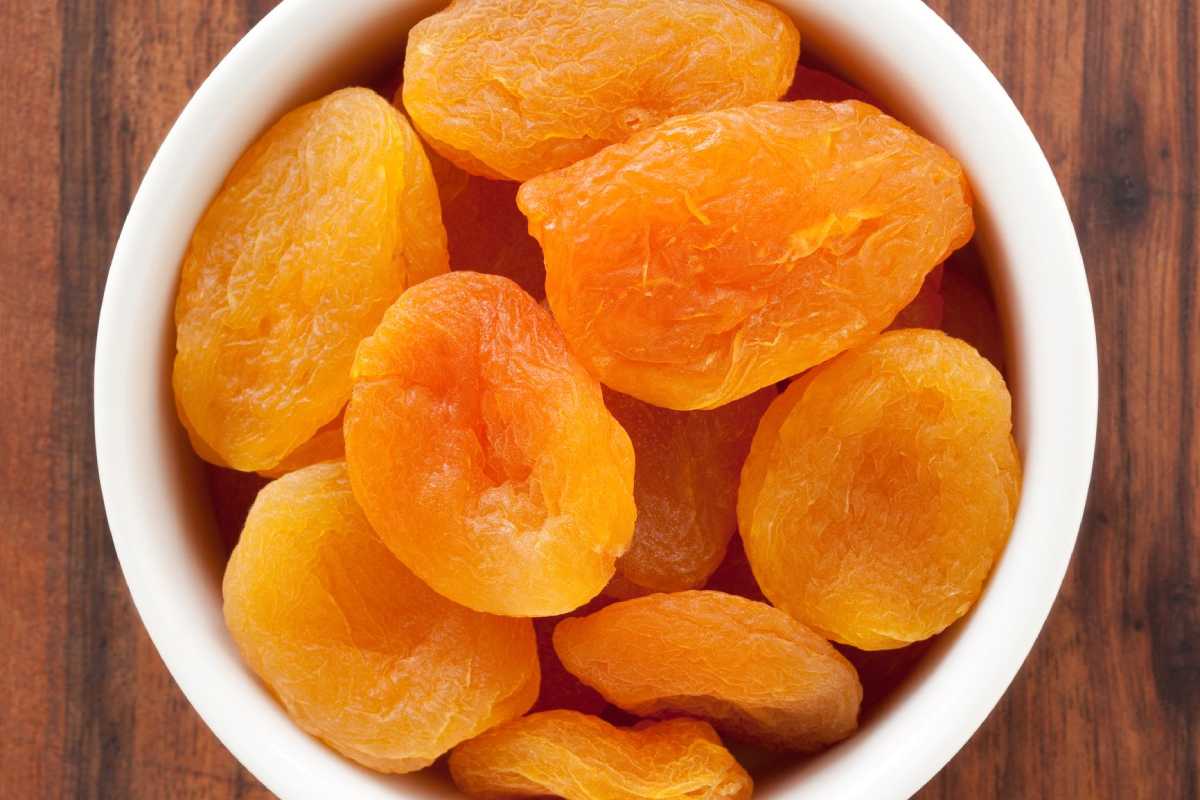 deried apricot pasta 2023 Price List