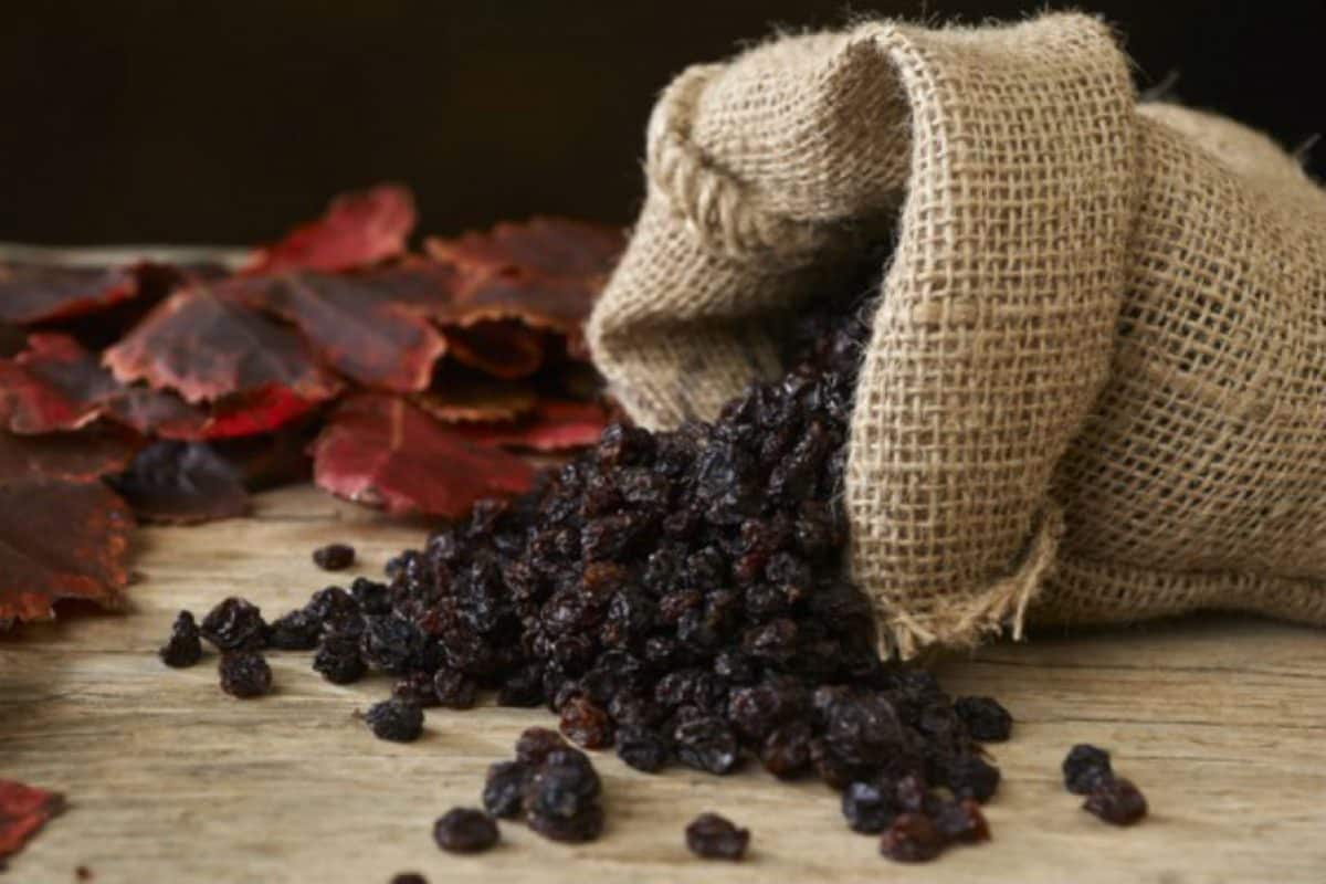 Buy black raisins seed  types + price