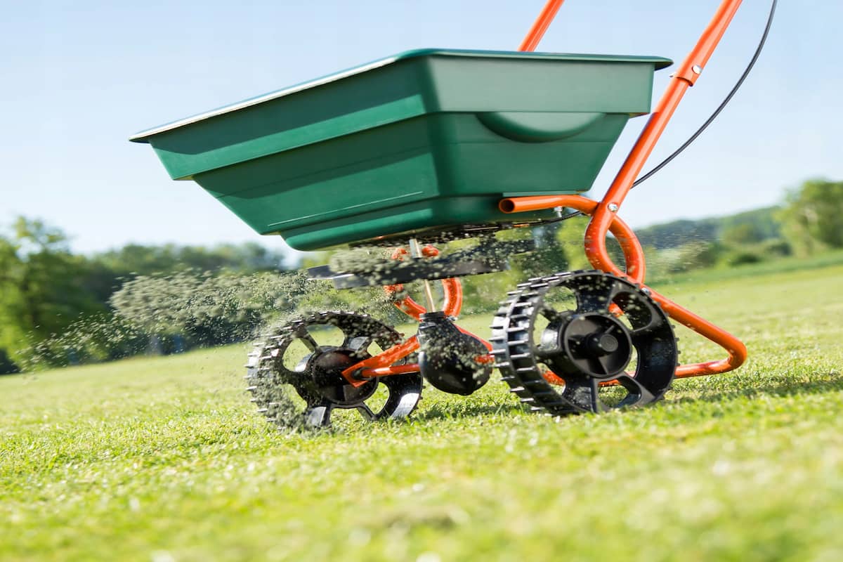 Getting to know seed spreader + the exceptional price of buying seed spreader