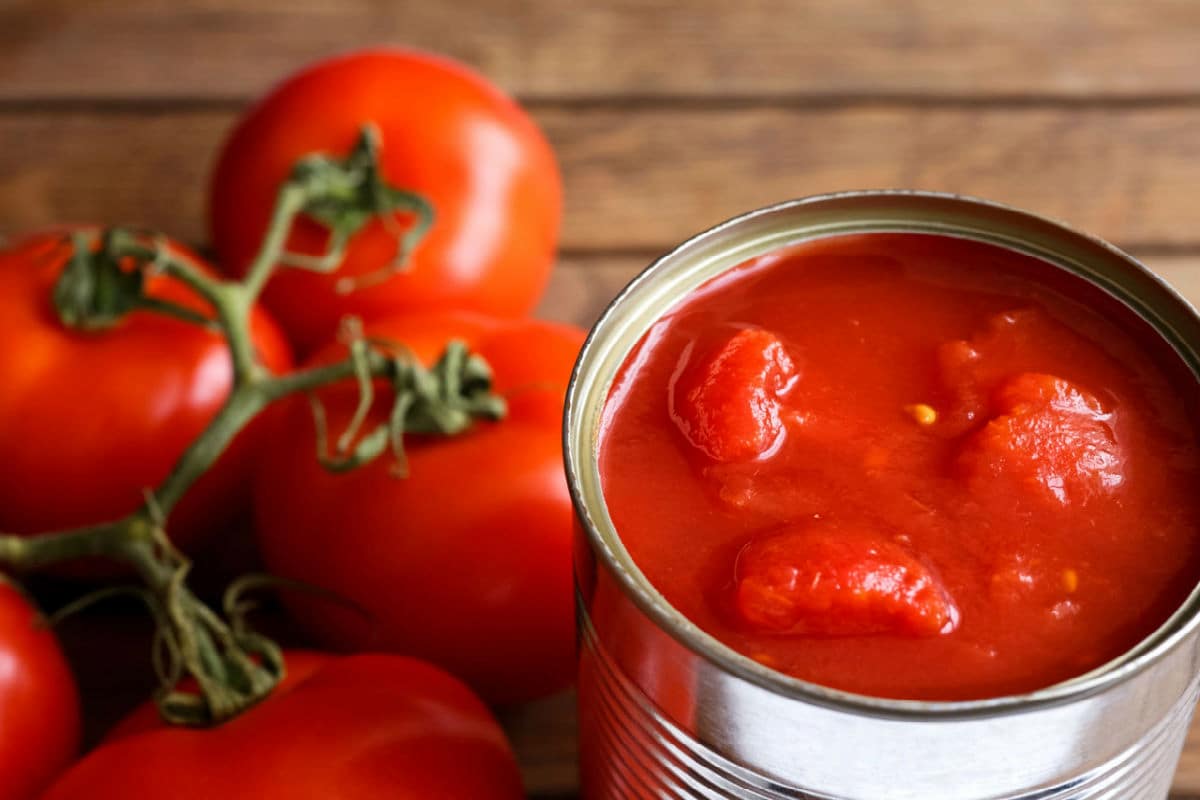 Purchase And Day Price of largest tomato paste