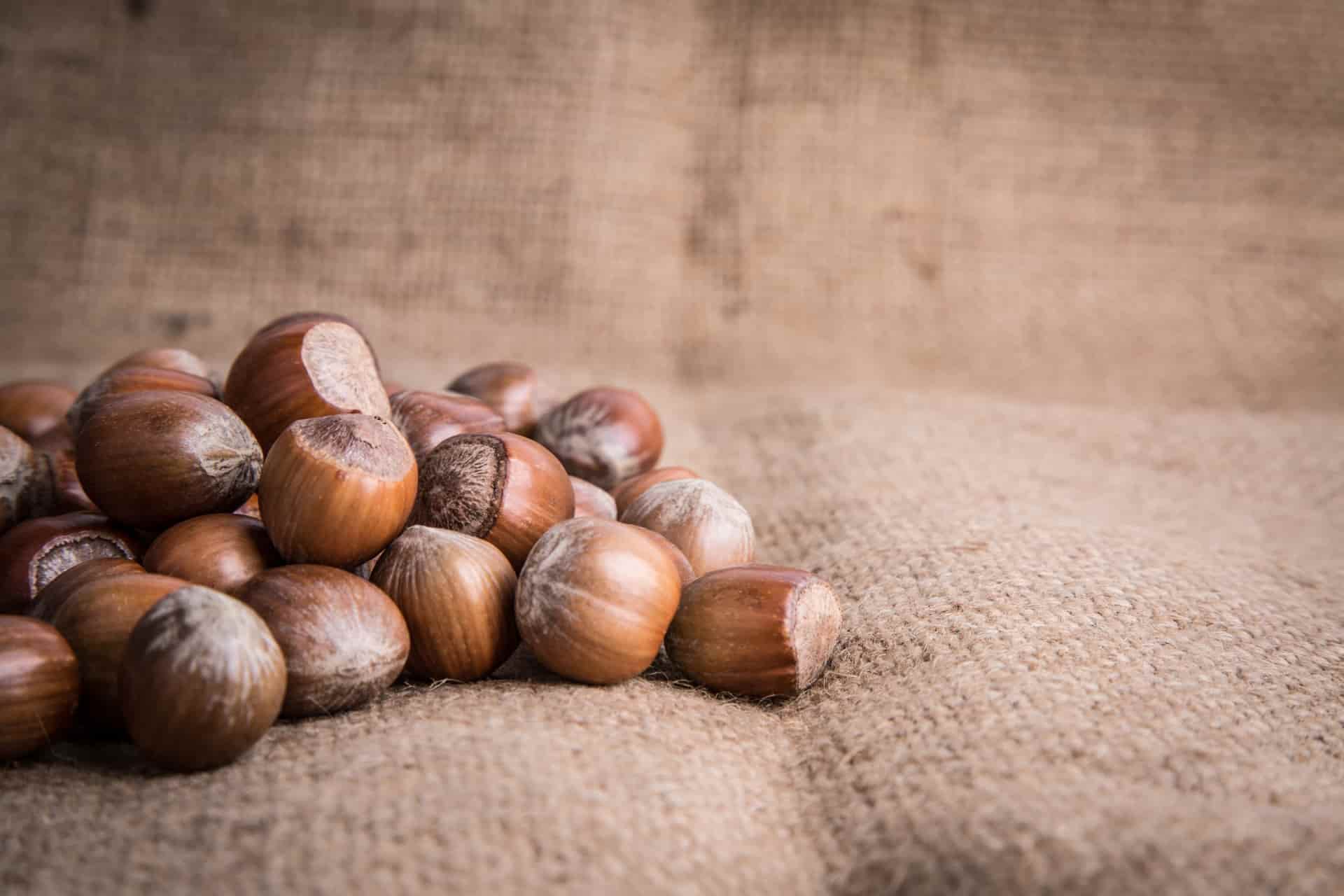 Purchase And Price of hazelnut in shell Types