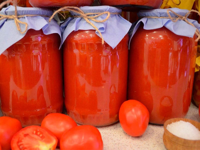 Purchase And Price of vegetarian tomato paste Types