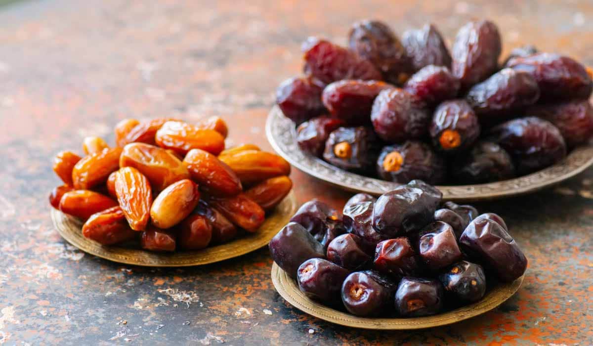 Buy all kinds of iranian date at the best price