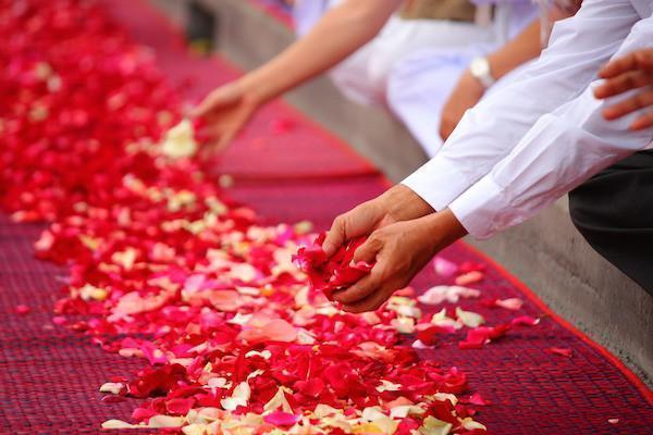 Real rose petals for wedding aisle + Best Buy Price