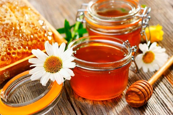 The Purchase Price of Multiflora Raw Honey + Properties, Disadvantages and Advantages