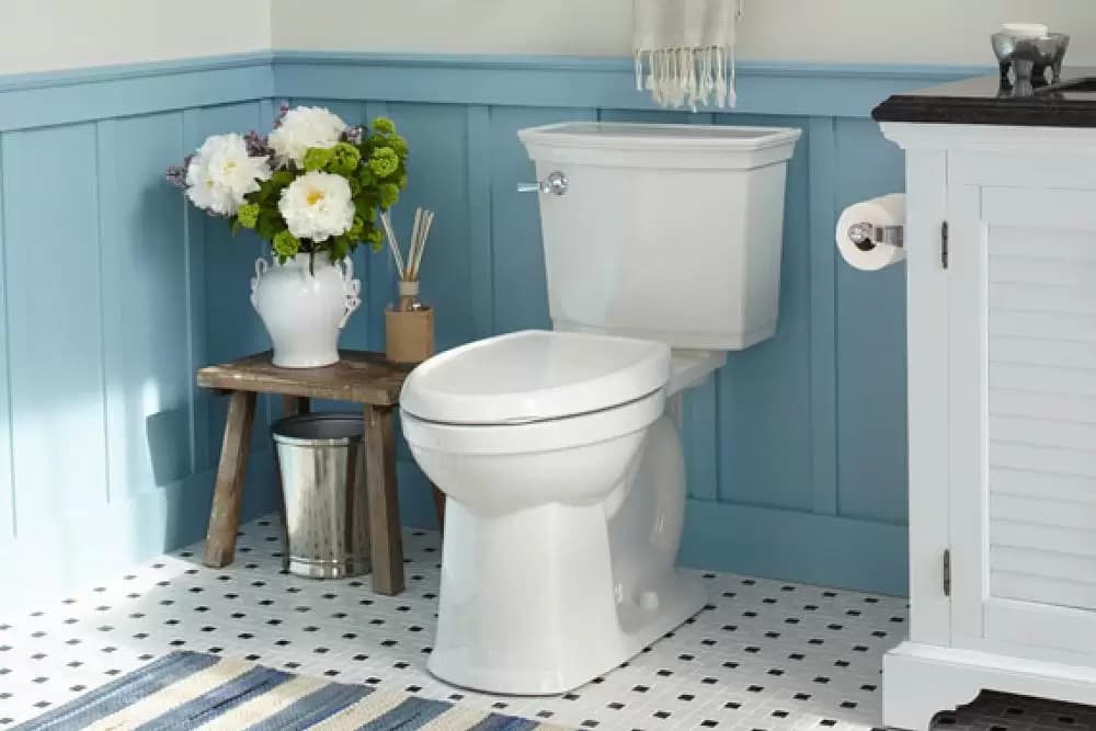 Buy The Best Types of coupled flush toilet At a Cheap Price