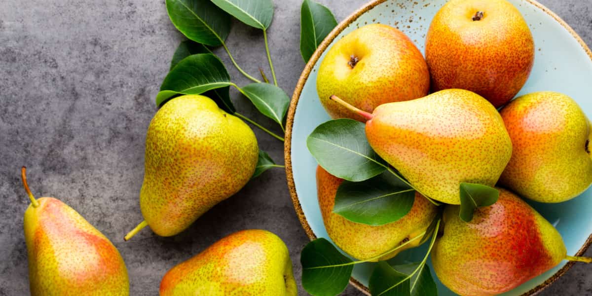 pear fruit products | Buy at a Cheap Price