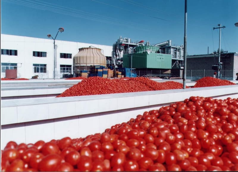Commercial tomato sauce making machine