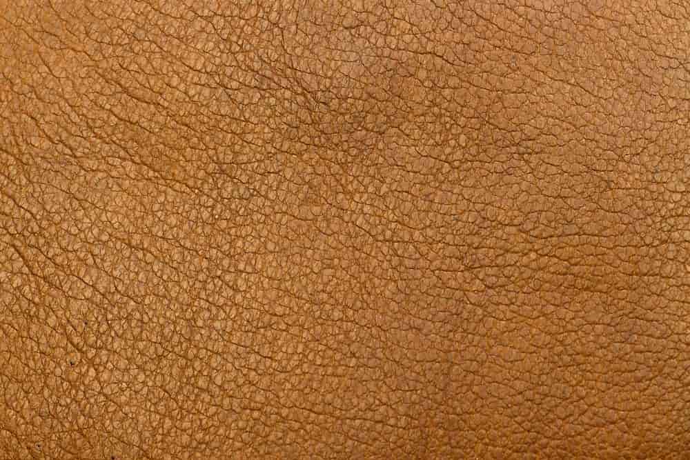 The Purchase Price of Sheepskin Leather + Advantages And Disadvantages