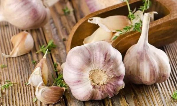 Introducing organic white garlic  + the best purchase price