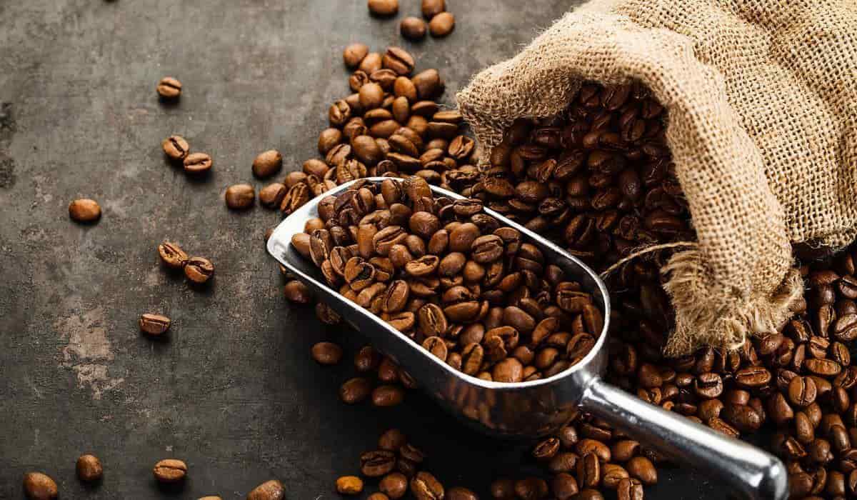 Hazelnut coffee pods 2023 Price List