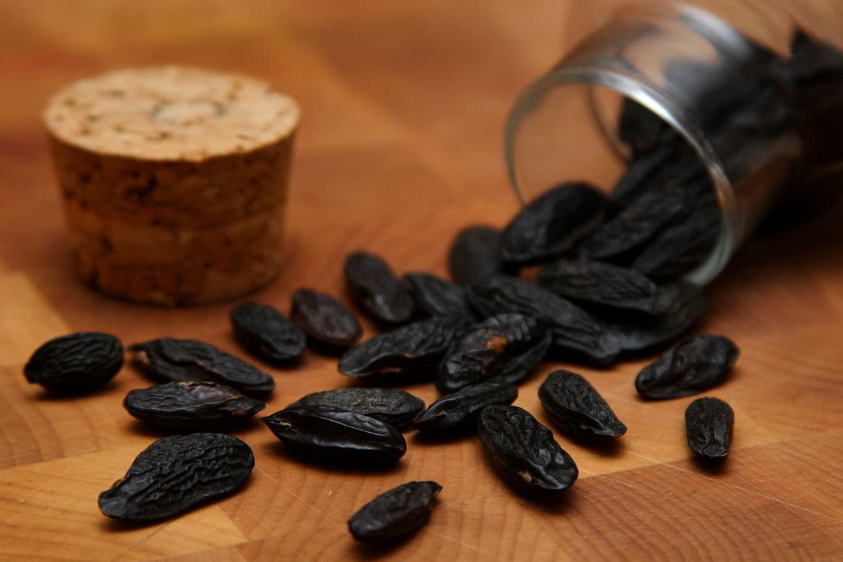 100g Black Raisins Purchase Price + Quality Test