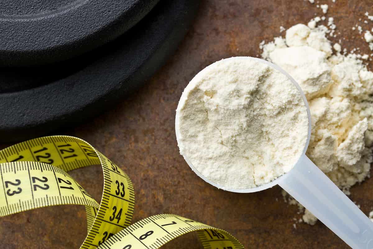 whey powder gluten | Buy at a cheap price
