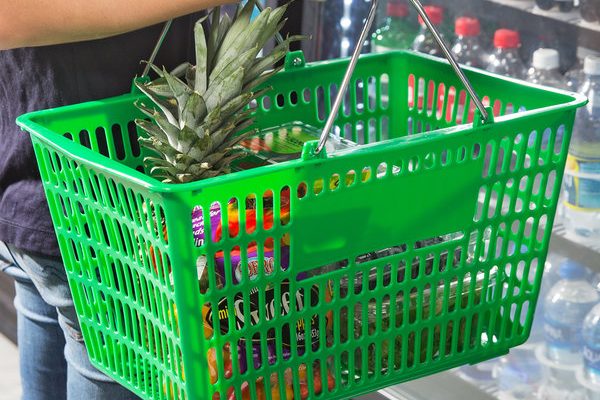 Buy the best types of plastic baskets at a cheap price